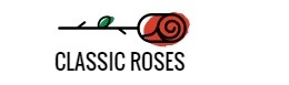 Classic Roses Sales Store
