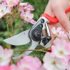 Darlac DP1030A Expert Bypass Pruner