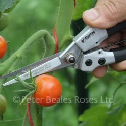 Darlac DP42 Compact Snips