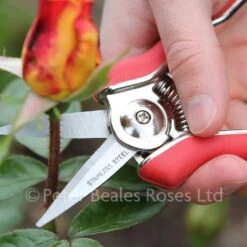 Darlac DP71 Mini Snips