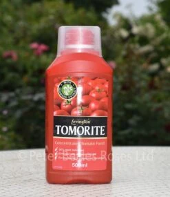 Levington Tomorite 500ml