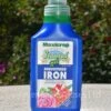 Maxicrop Seaweed With Sequestered Iron 500ml -Classic Roses Sales Store maxicrop seaweed with sequestered iron 500ml 1 1000px