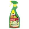 Neudorff Bugfree Bug & Larvae Killer RTU 750ml 2 Neudorff Bugfree Bug & Larvae Killer RTU 750ml -Classic Roses Sales Store neudorff bugfree 750ml gb 2050 rgb rgb 1000px